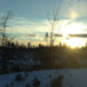 Meet your Posher, Abbey